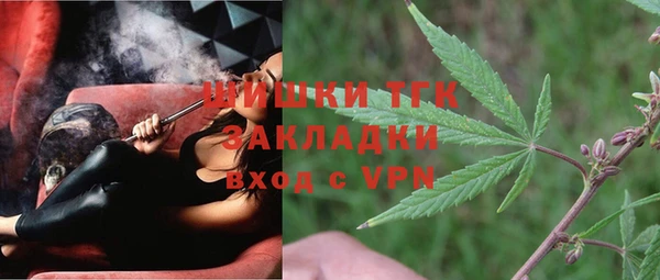мдпв Белокуриха