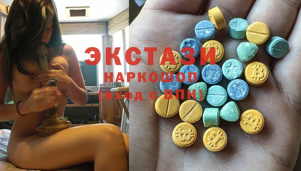 крисы Богородицк