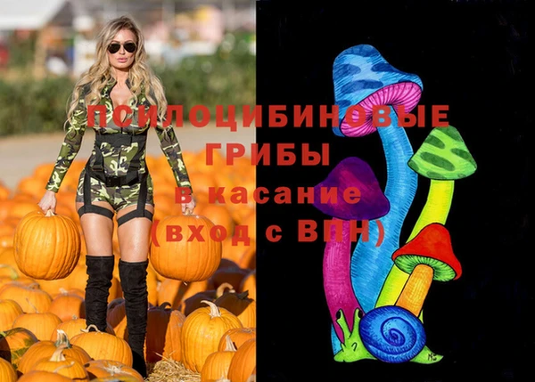 мдпв Беломорск