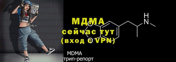 крисы Богородицк