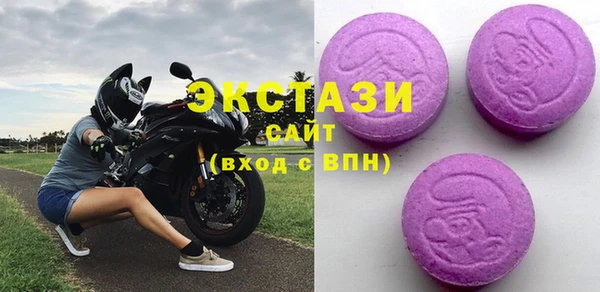крисы Богородицк