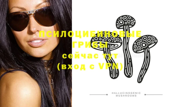 крисы Богородицк