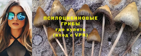 кокс Богородск