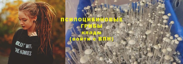 крисы Богородицк