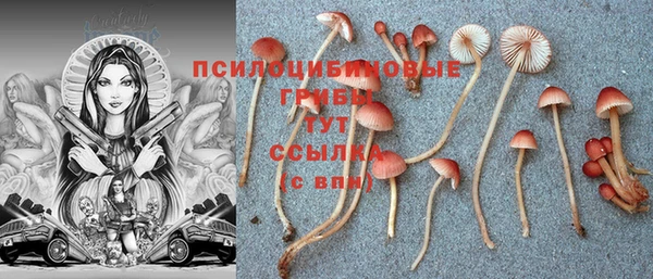 крисы Богородицк