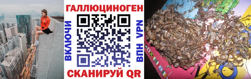 Псилоцибиновые грибы MAGIC MUSHROOMS  Полесск 